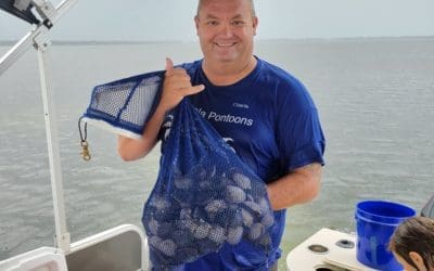 Bay Scallops