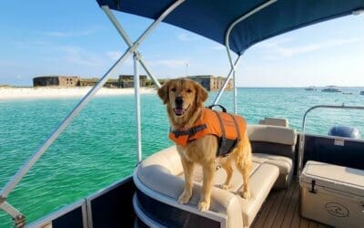 Dog-Friendly Boat Rentals in Pensacola Beach
