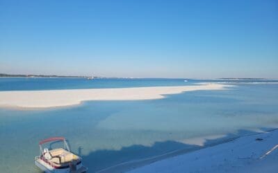 The Best Crab Island Alternative